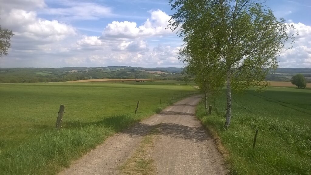 glooiend Waals landschap